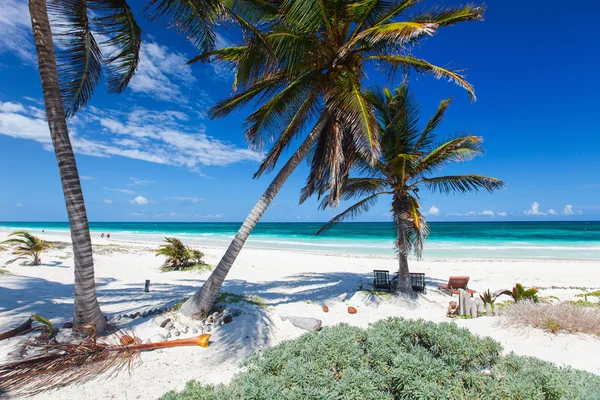 Wunderschöner tropischer Strand in der Karibik — Stockfoto