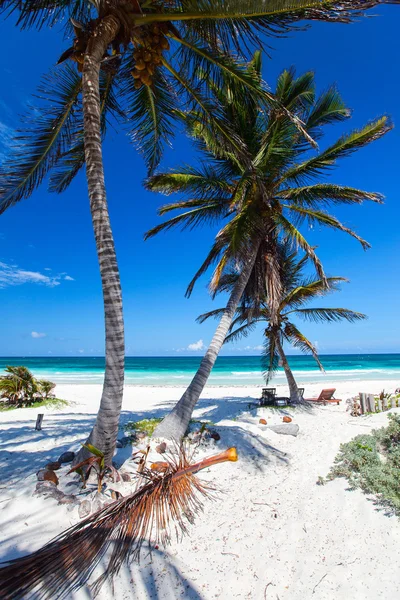 Bela praia tropical no Caribe — Fotografia de Stock