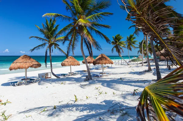 Piękne tropikalnej plaży na Karaibach — Zdjęcie stockowe