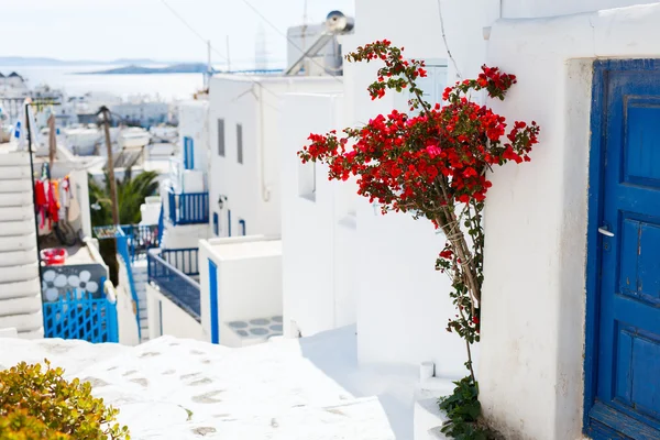 Tradiční ulice ostrova Mykonos v Řecku — Stock fotografie