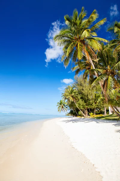 Tropisch strand op exotische eiland in de Stille Oceaan — Stockfoto
