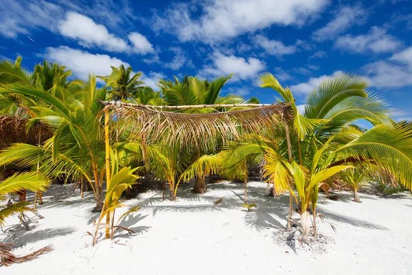 Ohromující tropické pláže na exotický ostrov v Pacifiku — Stock fotografie