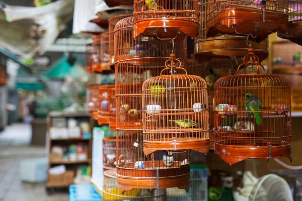 Birds market — Stock Photo, Image