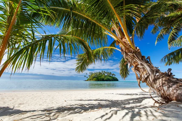 Vackra tropiska stranden vid exotisk ö i Stilla havet — Stockfoto
