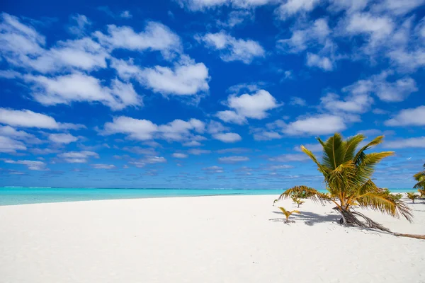 Fantastiska tropiska stranden på exotisk ö i Stilla havet — Stockfoto