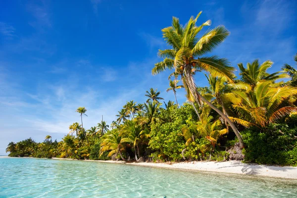 Stunning tropical beach at exotic island in Pacific — Stock Photo, Image