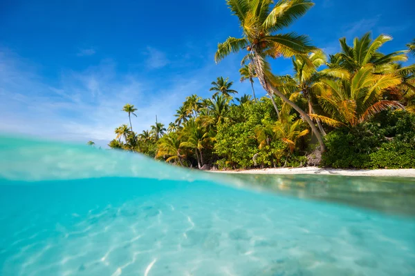 太平洋のエキゾチックな島の熱帯のビーチを見事な — ストック写真