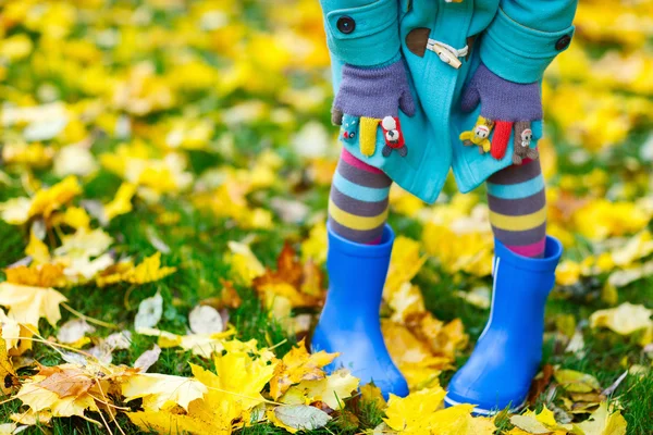 Colorful autumn — Stock Photo, Image