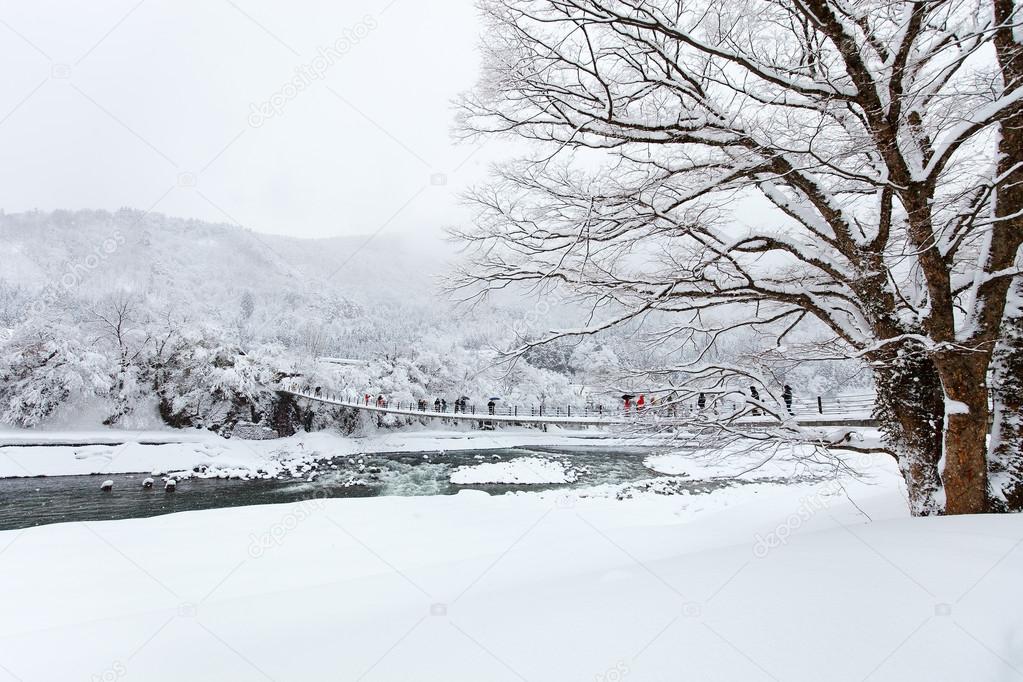 Japan at winter