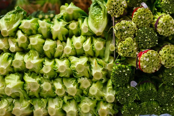 Herbs — Stock Photo, Image