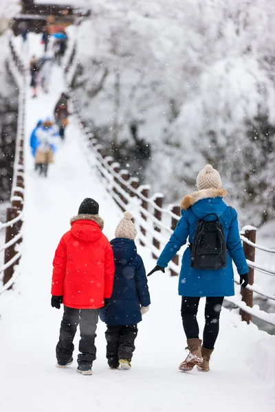 Turistas no Japão no inverno — Fotografia de Stock