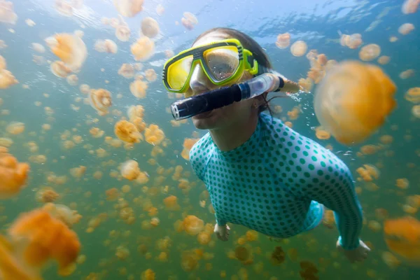 Turistsnorkling i Jellyfish Lake – stockfoto