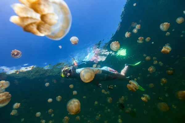 Toeristische snorkelen in Jellyfish Lake — Stockfoto