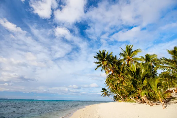 Bella spiaggia tropicale a isola esotica nel Pacifico — Foto Stock