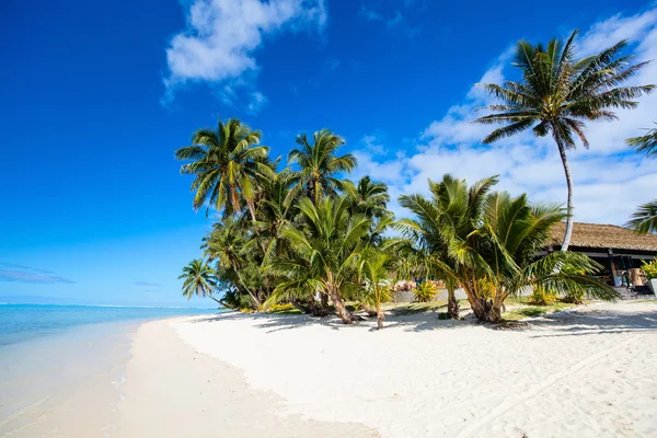 Tropisch strand op exotische eiland in de Stille Oceaan — Stockfoto