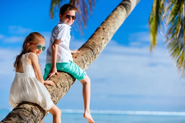 Barnen på strandsemester — Stockfoto