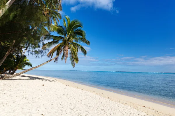 Vackra tropiska stranden vid exotisk ö i södra Stilla havet — Stockfoto