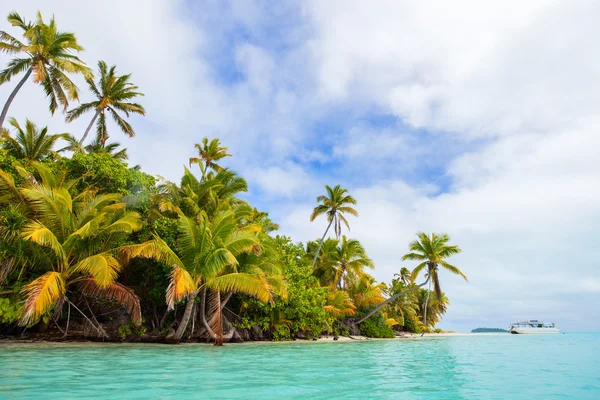 Stunning tropical beach at exotic island in Pacific — Stock Photo, Image