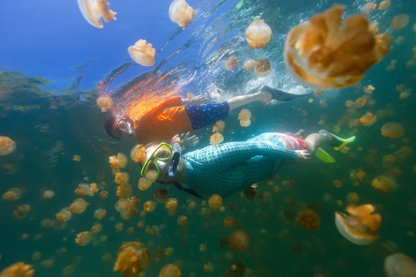 Turistas haciendo snorkel en el lago Jellyfish — Foto de Stock