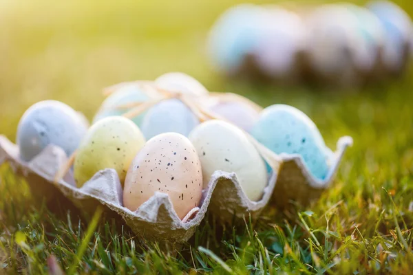 Ovos de Páscoa em uma grama — Fotografia de Stock