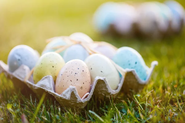 Los huevos de Pascua en la hierba — Foto de Stock