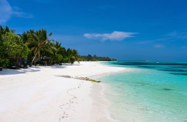 Maldivler de güzel tropikal plaj
