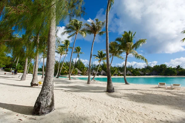 Spiaggia di bora bora — Foto Stock