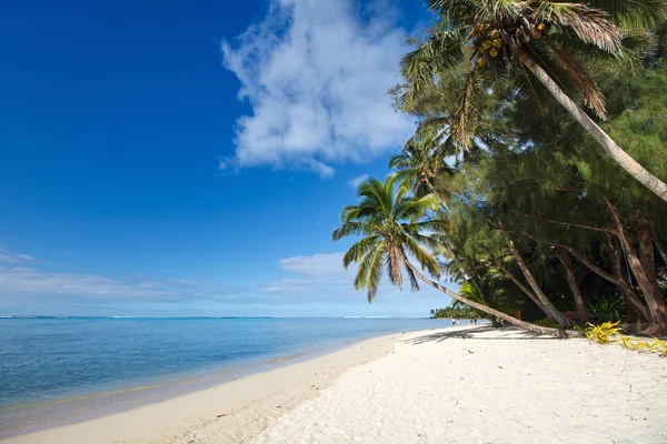 在南太平洋岛国异域美丽热带海滩 — 图库照片