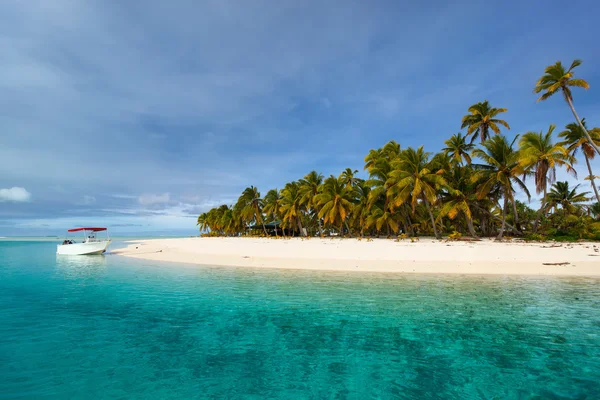 Egzotik Island Pacific çarpıcı tropikal plaj — Stok fotoğraf