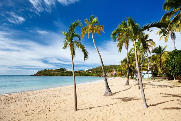 Praia idílica no Caribe — Fotografia de Stock