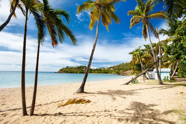 Idyllischer strand an der karibik — Stockfoto