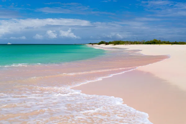 ピンクの砂のビーチ — ストック写真