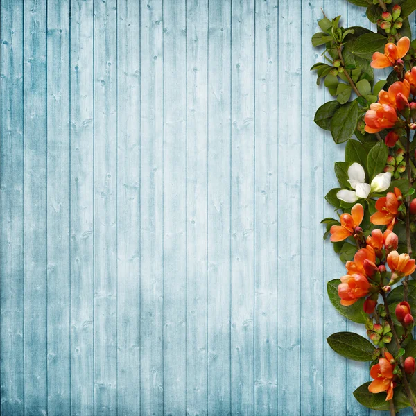 Easter Card with spring flowers — Stock Photo, Image