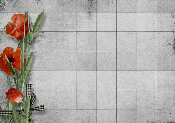 Poppy flowers background — Stock Photo, Image