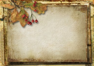sonbahar yaprakları ve rowan