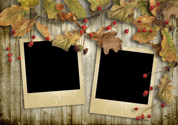 Autumn leaves and frames — Stock Photo, Image