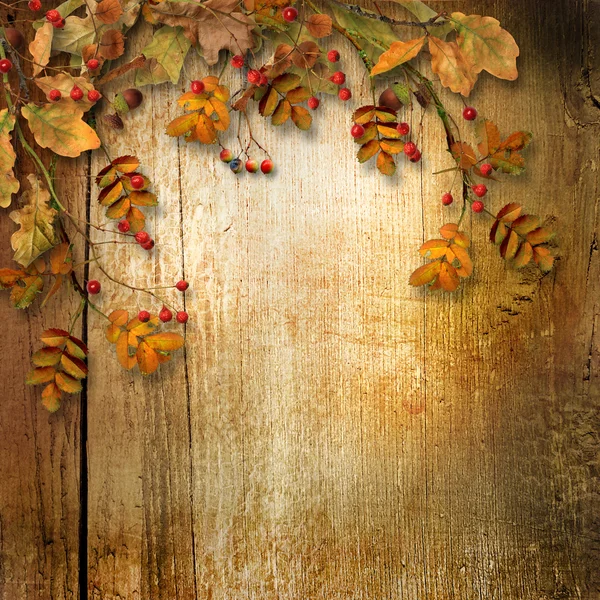 Vintage autumn background — Stock Photo, Image