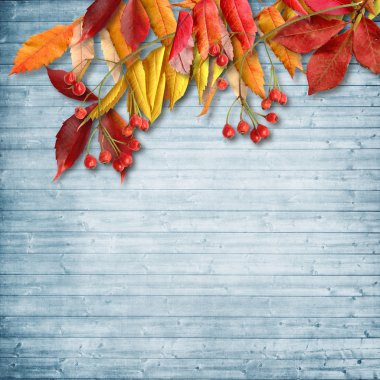 sonbahar vintage çiçek arka plan 