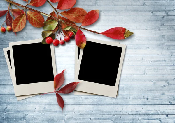 Autumn leaves with photo frames — Stock Photo, Image