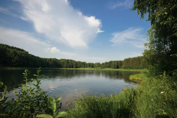Kaunis Järvi Metsässä Sininen Taivas Pilvien Kanssa — kuvapankkivalokuva