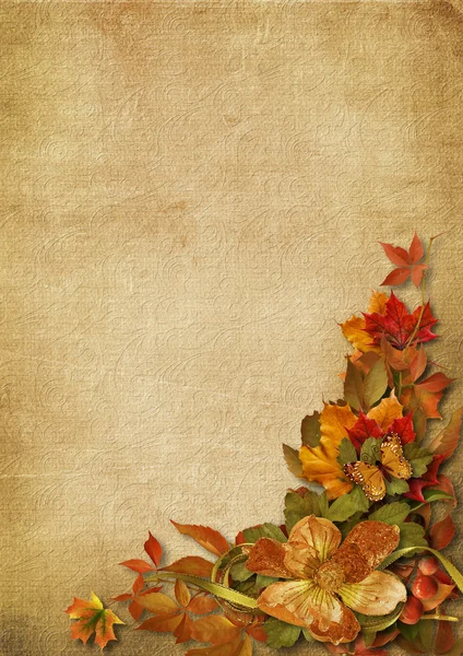 Hintergrund mit Herbstdekoration — Stockfoto