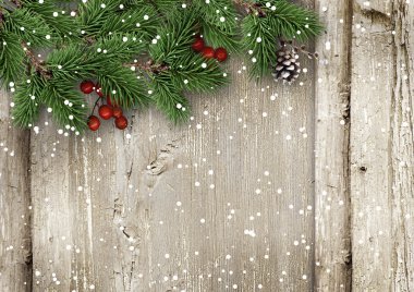 Holly ile Noel köknar ağacı