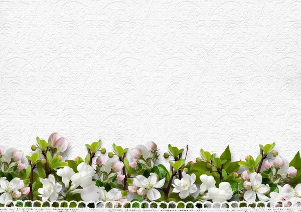 Gränsen av apple blommar — Stockfoto