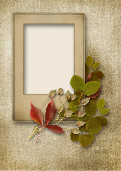 Frame for photo and autumn leaves — Stock Photo, Image