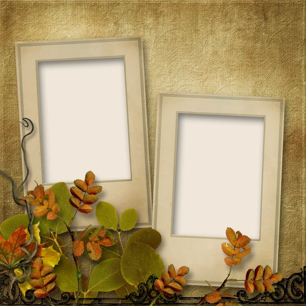 Frame for photo and autumn leaves — Stock Photo, Image