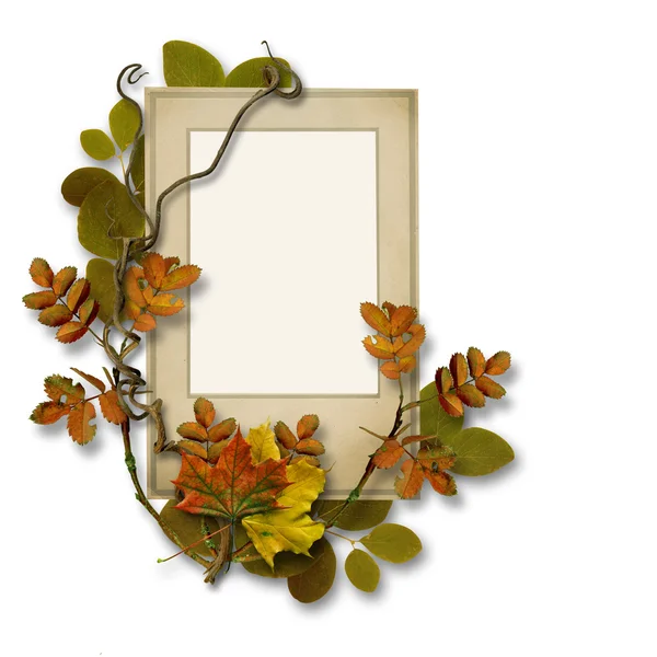 Régi kártya, őszi levelek — Stock Fotó