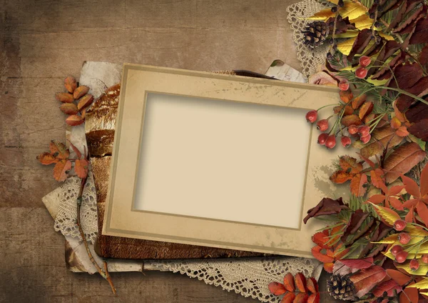 Autumn leaves and frame — Stock Photo, Image