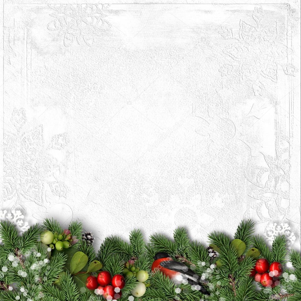 Christmas white background with bullfinch