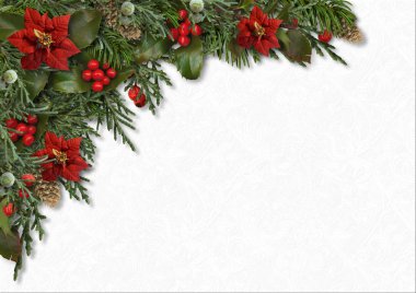 Holly kenarlığını Noel