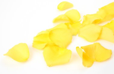 Yaprakları sarı ros